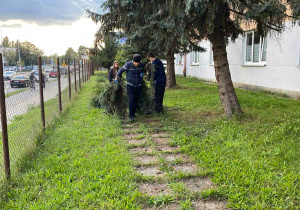 Zdjęcie 3 na 39