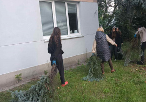 Zdjęcie 29 na 39